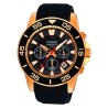 PULSAR Mod. CHRONOGRAPH PT3134X1